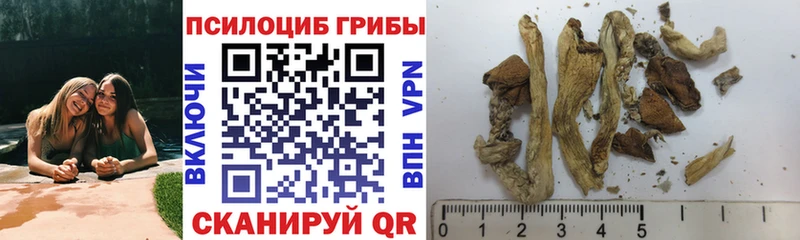 Галлюциногенные грибы Psilocybine cubensis  shop клад  Бородино 